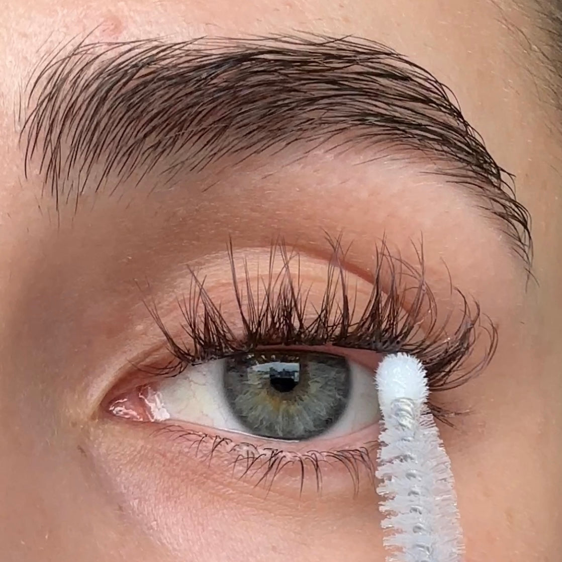 Lash it up - 2in1 Bond and Sealer - transparent